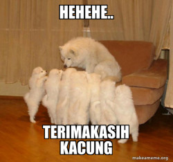 Storytelling Dog