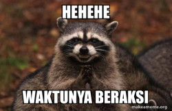 Evil Plotting Raccoon