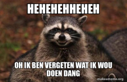 Evil Plotting Raccoon