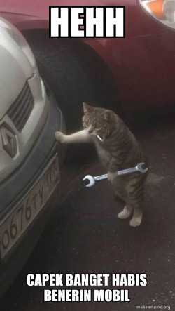 Mechanic Cat