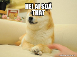 Doge