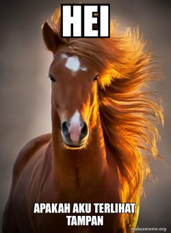 Ridiculously photogenic horse