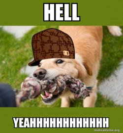 Scumbag dog