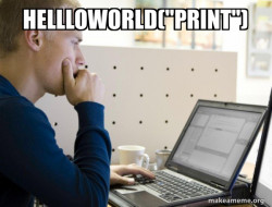 Programmer