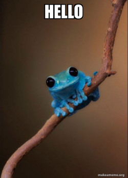 Small Fact Frog