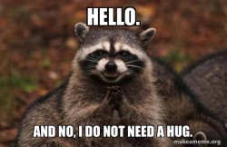 Evil Plotting Raccoon