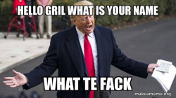 Trump - Impeachment Quid Pro Quo