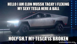 sexy tesla