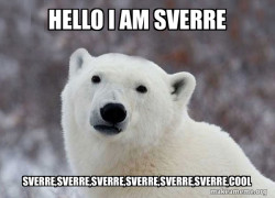 Popular Opinion Polar Bear
