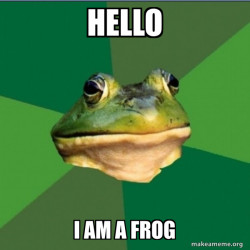 Foul Bachelor Frog
