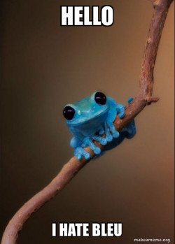 Small Fact Frog