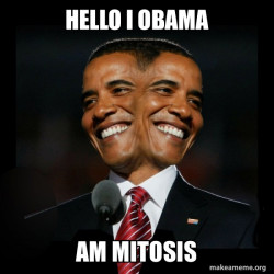 Two Faced Obama