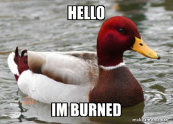 Malicious Advice Mallard
