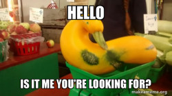 Gourd Advice Mallard