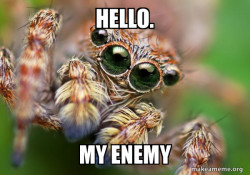 Hipster Spider