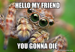 Hipster Spider