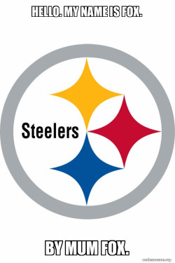 Pittsburgh Steelers
