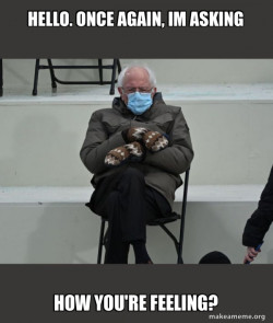 Bernie Sanders at the Inauguration