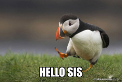 Unpopular Opinion Puffin