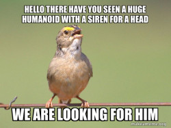 Pov: you came across some siren head believers 