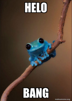 Small Fact Frog
