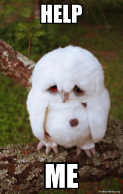 Sad Owl