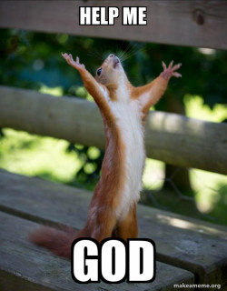 Happy Squirrel