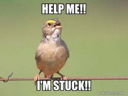 Common Opinion Sparrow