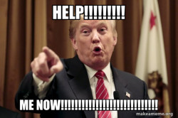 Donald Trump Says