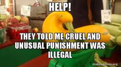 Gourd Advice Mallard