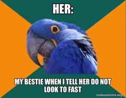 Paranoid Parrot