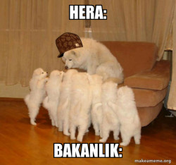 Scumbag Storytelling Dog