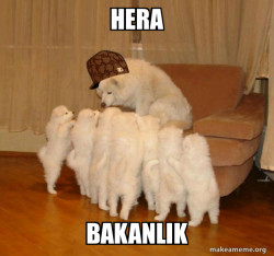 Scumbag Storytelling Dog