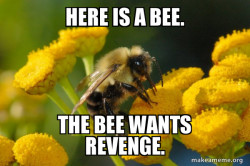 Good Guy Bee
