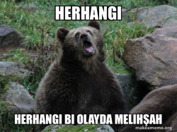 Sarcastic Bear