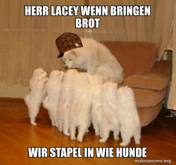 Scumbag Storytelling Dog