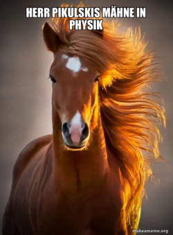 Ridiculously photogenic horse