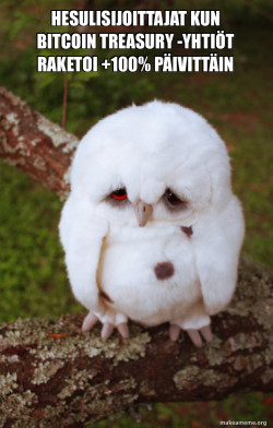 Sad Owl