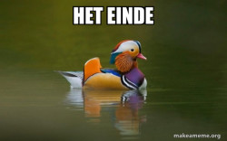 Fashionable Advice Mallard