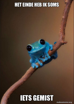 Small Fact Frog