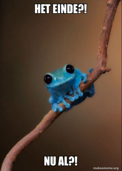 Small Fact Frog