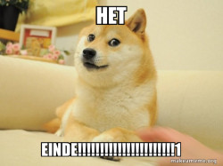 Doge