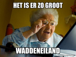 Internet Grandma