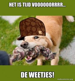 Scumbag dog