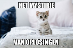 Cute Kitten