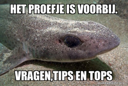 Dirty Joke Dogfish