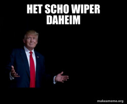 Trump Everything is FIne