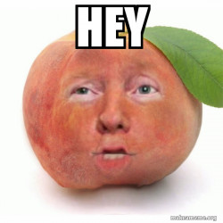 Impeached Donald Trump