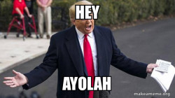 Trump - Impeachment Quid Pro Quo