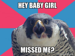 Millennial Falcon